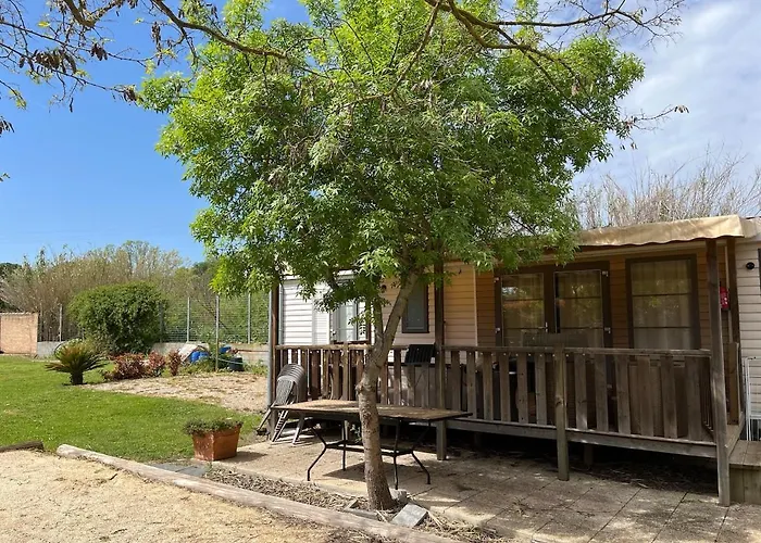 Leisure Home On 1000 Land